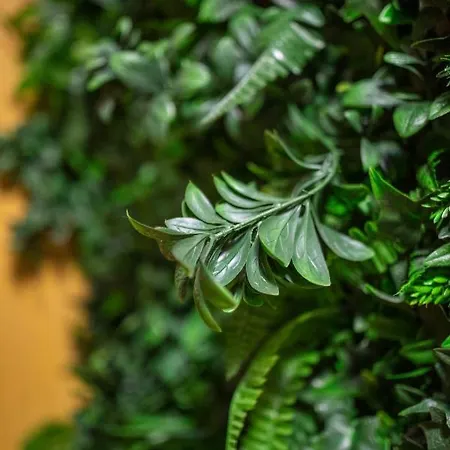 Ferienhaus Bolivar Cute By Canariasgetaway Las Palmas / Gran Canaria